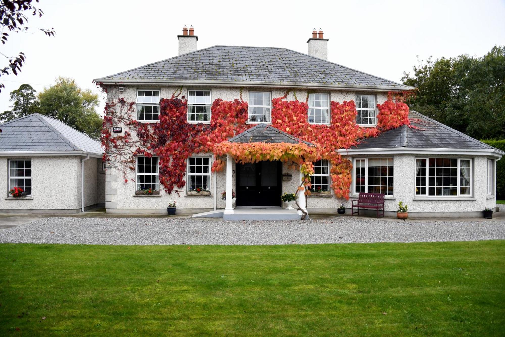 Orchard Grove Bed & Breakfast R21Rc58 Bagenalstown Екстериор снимка