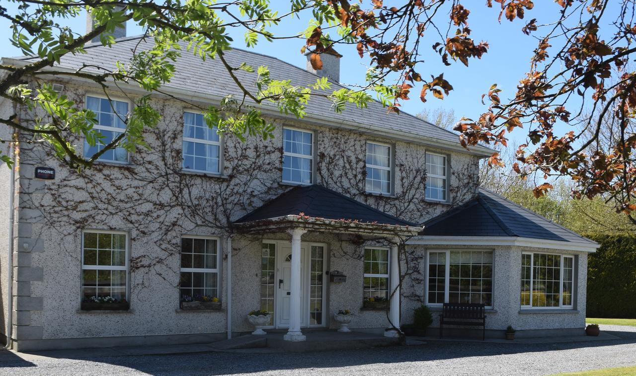 Orchard Grove Bed & Breakfast R21Rc58 Bagenalstown Екстериор снимка