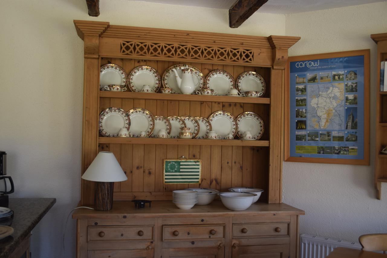 Orchard Grove Bed & Breakfast R21Rc58 Bagenalstown Екстериор снимка
